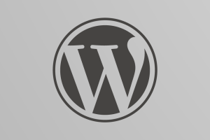 Skulblakas mit WordPress